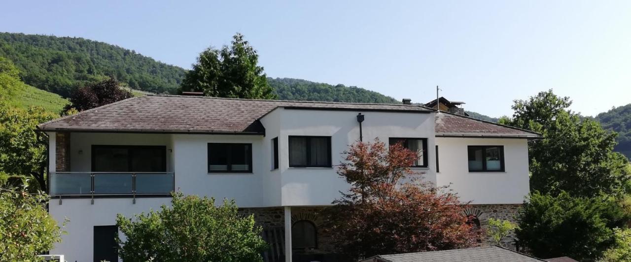 Ferienhaus Johanna Spitz an der Donau Bagian luar foto
