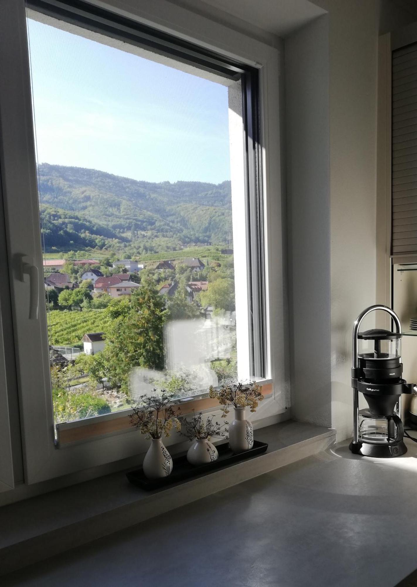 Ferienhaus Johanna Spitz an der Donau Bagian luar foto